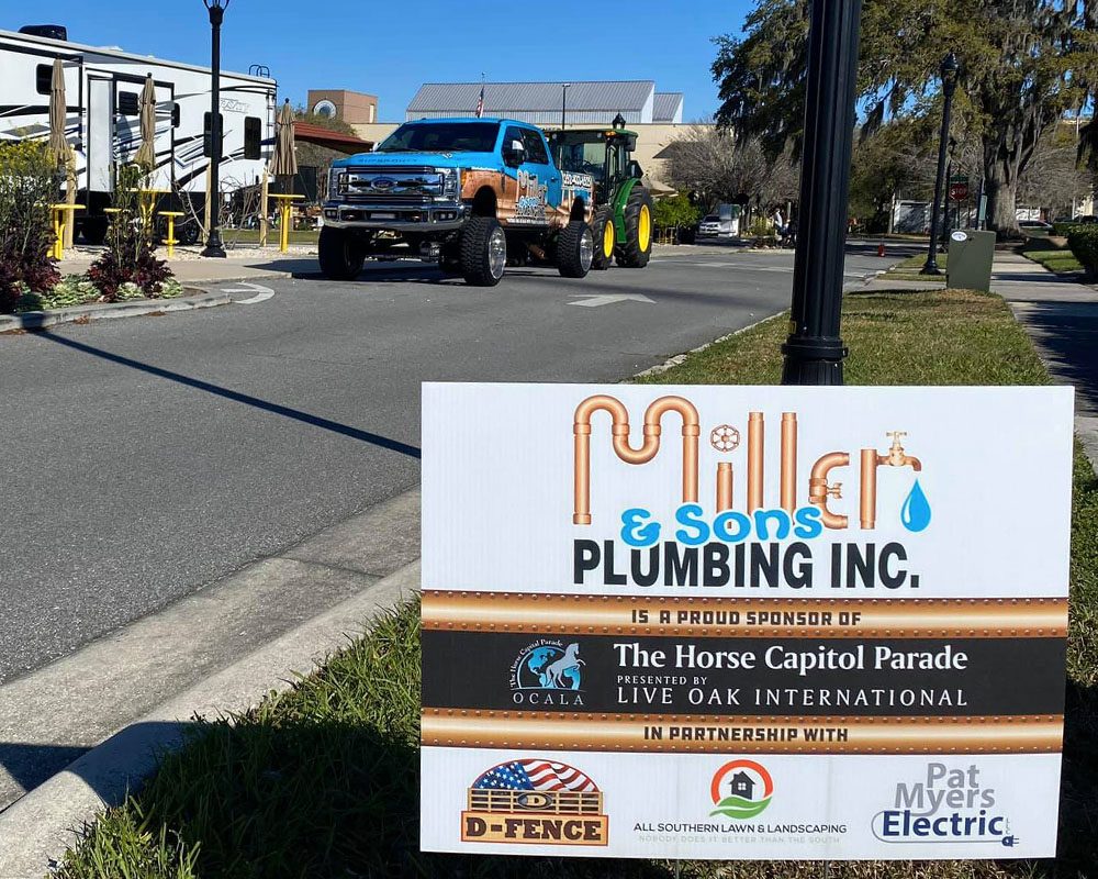 about_0001_Copy of Horse Capital Parade 4