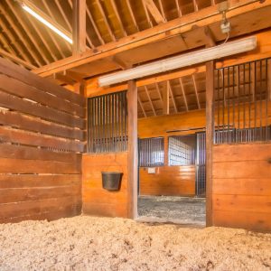 natural lighted horse barn